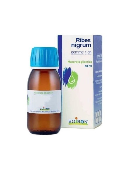 Ribes Nigrum Gemme 1DH Macerato Glicerico